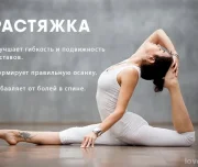 школа танцев и фитнеса sport life изображение 2 на проекте lovefit.ru