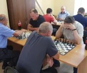 тульская областная федерация шахмат изображение 6 на проекте lovefit.ru
