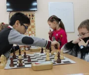 тульская областная федерация шахмат изображение 5 на проекте lovefit.ru