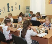 тульская областная федерация шахмат изображение 2 на проекте lovefit.ru